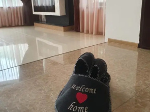 Vila incăpătoare in Pitesti