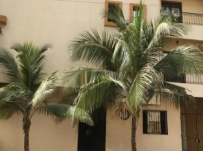Hôtel La Citronnelle
