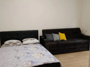 Апартаменты на проспекте Ленина 14