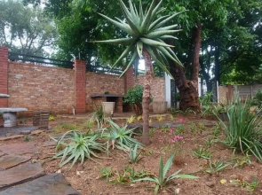 The Chameleon Stay @107