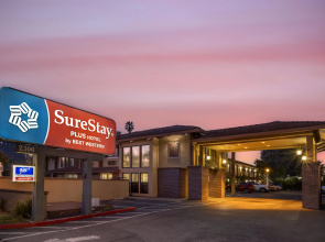 SureStay Plus Hotel by Best Western Mountain View