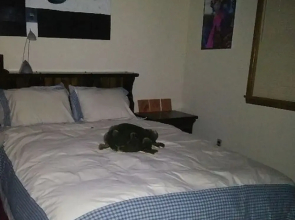 Evergreen Village Retreat