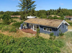 "Antonij" - 2.5km from the sea in NW Jutland