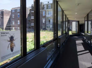 Conscious Hotel Vondelpark