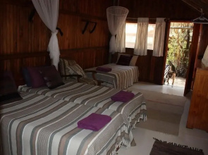 Offbeat Safaris