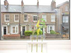 Lucy's Lodge- Most Stylish Apartment On Vibrant Bishy Road