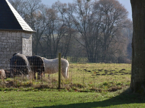 Wonderfully Furnished Cottage, Very Comfortable, Small Village Near Namur