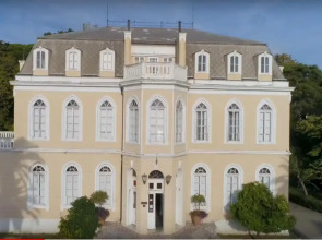 Studios Zoran Milosev