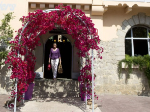 Hôtel Le Mas des Citronniers