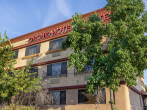 Best Western Plus Orchid Hotel & Suites