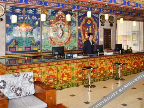 拉萨碧都雅酒店