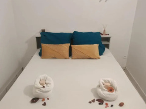 Villa tropicale charmant T2 dans un cadre verdoyant