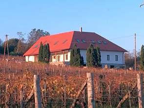 Kolonics Pincészet Vendégház Somló