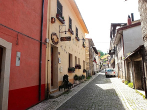 B&B Animali Selvaggi