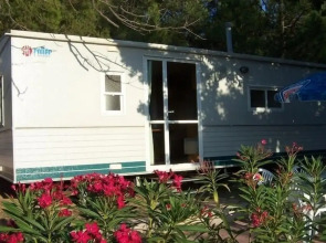 Balanea - Campsite