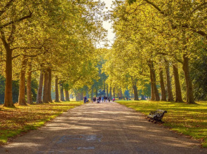 Отель Amsterdam