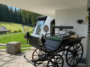 Berghutte Waldheimat