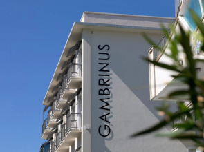 Hotel Gambrinus Mare