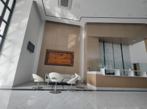 The Vincent Condo