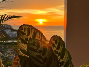 Tamarindo Beach Hostel