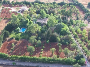 Finca Son Serra