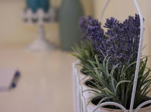 Lavender Lane Guest House