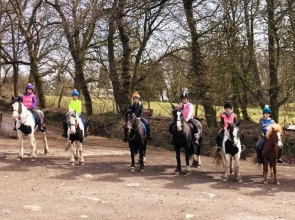 Wellsfield Farm Holiday Lodges