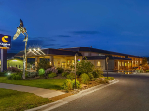 Comfort Inn Bozeman near University