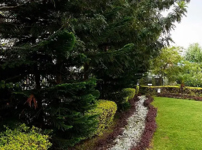 Club Mahindra Kangra Valley Resort