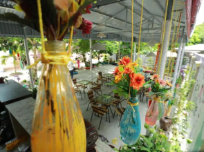 Windy Hill Catba Homestay