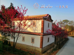 ile d'or 一朵民宿 - 中蘭