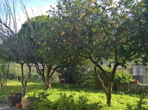 casa vancaza chiara