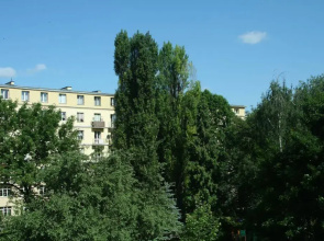 Globetrotter Hostel