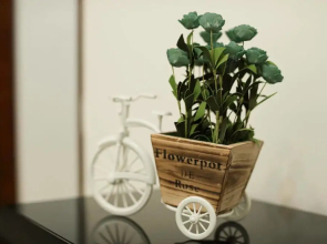 White Sand Bay Homestay