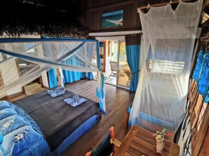 Coconut Lodge