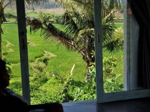 Dikaloha Medewi Surfcamp