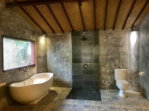 Kailash Bali