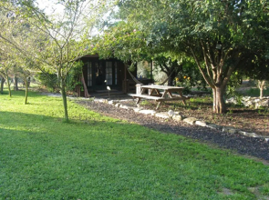 Cabin 81
