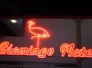 The Flamingo Motel