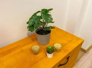 Missafir Distinguished Flat With Backyard in Sisli