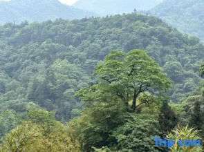 Trip.com Group Country Retreats (Mount Emei Yixi-Qingyin Joint Resort)