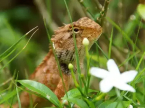 Thien Hong Guest House