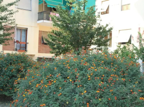 La Perla Affittacamere