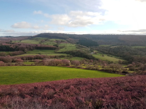 Rievaulx