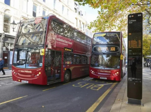 Wray & Whyte House - Larger Groups - Nr City Centre, Pets allowed - Ideal 4 Families, Contractors, Business & Corporate Guests