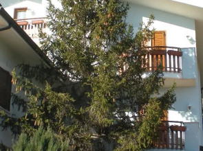 Hotel Abete