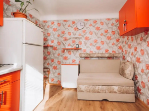 Квартира в центре города