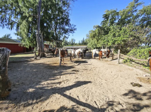 Turtle Bay Pupukea***nuc 90-tvu-0246 2 Bedroom Condo by RedAwning