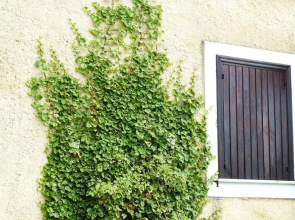 Agriturismo Macchiapiede