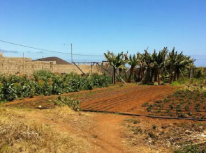 Finca Biologica